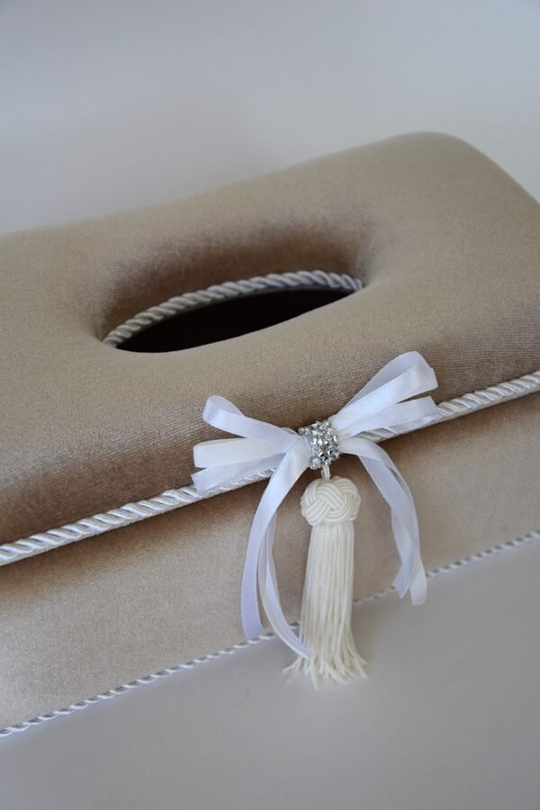 DSC_0591 smėlinė servetėlių dėžutė